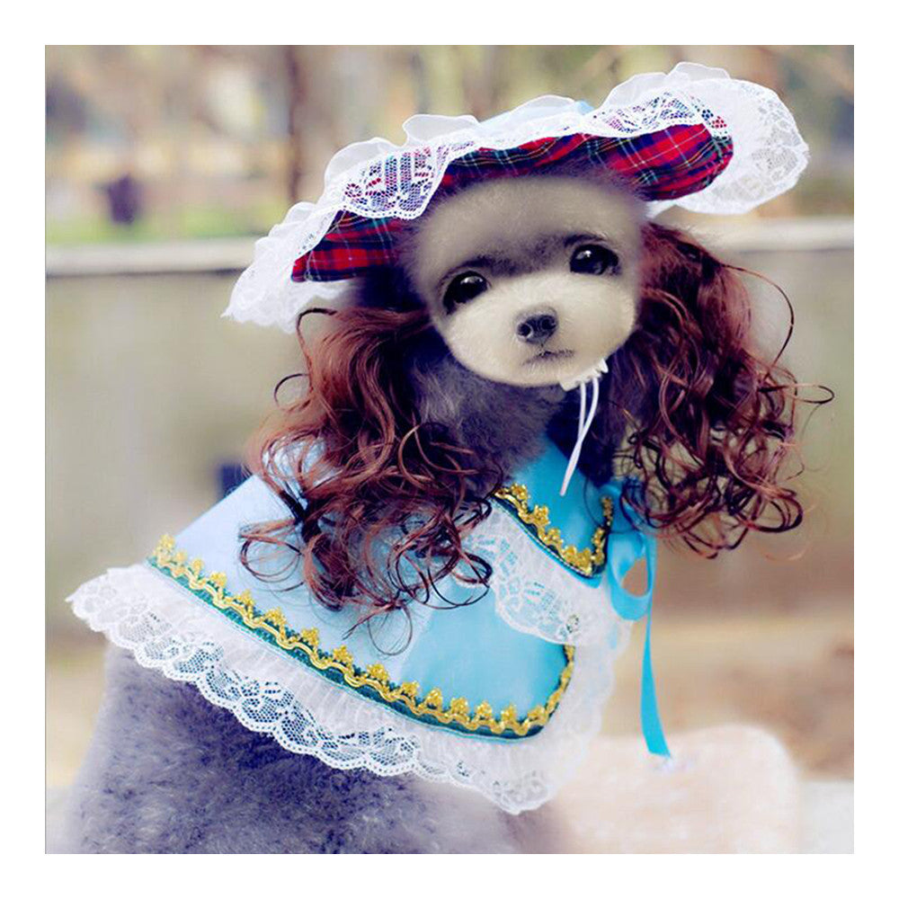 Dog Pet Clothes Cloak Wig Hat Suit   PF26 blue  S - Mega Save Wholesale & Retail - 1