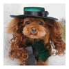Pet Dog Clothes Cloak Wig Hat Suit   PF39 green   S - Mega Save Wholesale & Retail - 1