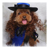Pet Dog Clothes Cloak Wig Hat Suit   PF42 sapphire blue   S - Mega Save Wholesale & Retail - 2
