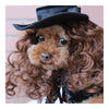 Pet Dog Clothes Cloak Wig Hat Suit   PF44 black   S - Mega Save Wholesale & Retail - 1