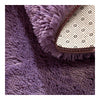 Thick Water Wash Fluff Non-slip Ground Mat Carpet  13   40*60cm - Mega Save Wholesale & Retail