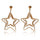 Star Ear Studs - Mega Save Wholesale & Retail - 1