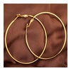 18K Gold Galvanized Earrings