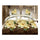 3D Flower Queen King Size Bed Quilt/Duvet Sheet Cover 4PC Set Cotton Sanded 014 - Mega Save Wholesale & Retail