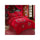 Bed Quilt Duvet Sheet Cover 4PC Set Upscale Cotton Sanded simple but elegant  008 - Mega Save Wholesale & Retail