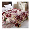 Two-side Blanket Bedding Throw Coral fleece Super Soft Warm Value 200cm 01 - Mega Save Wholesale & Retail